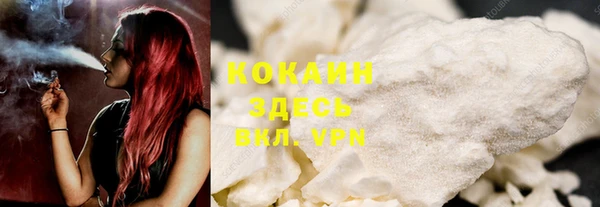 гидра Михайловск