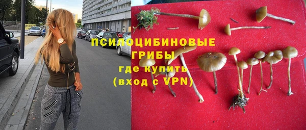 прущая мука Абаза