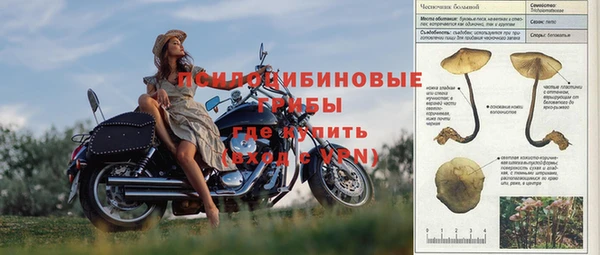 крисы Абинск